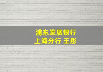 浦东发展银行上海分行 王彤